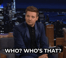 Who Is That Jeremy Renner GIF by The Tonight Show Starring Jimmy Fallon